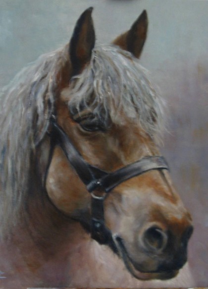 belg, olieverf 40 x 50 cm