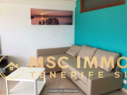Apartment Palm - Mar
