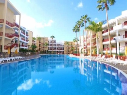 Penthouse Palm - Mar