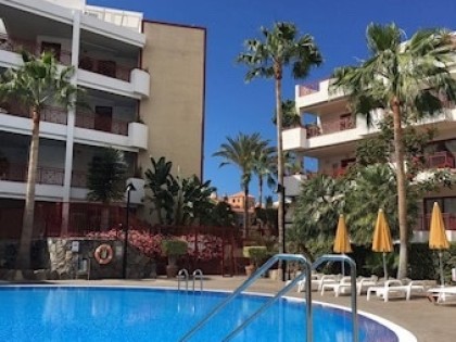 Penthouse Palm - Mar