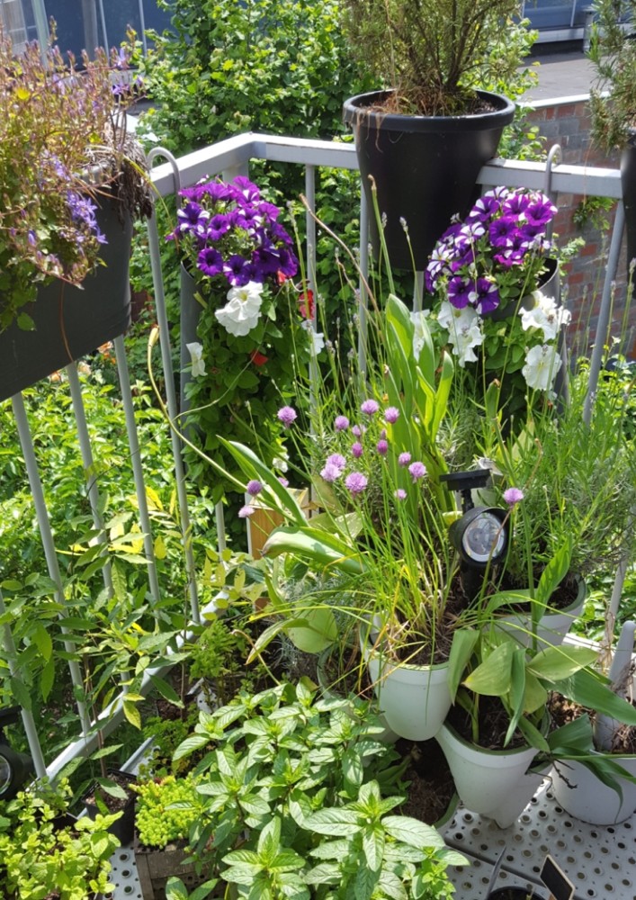 Groen balkon