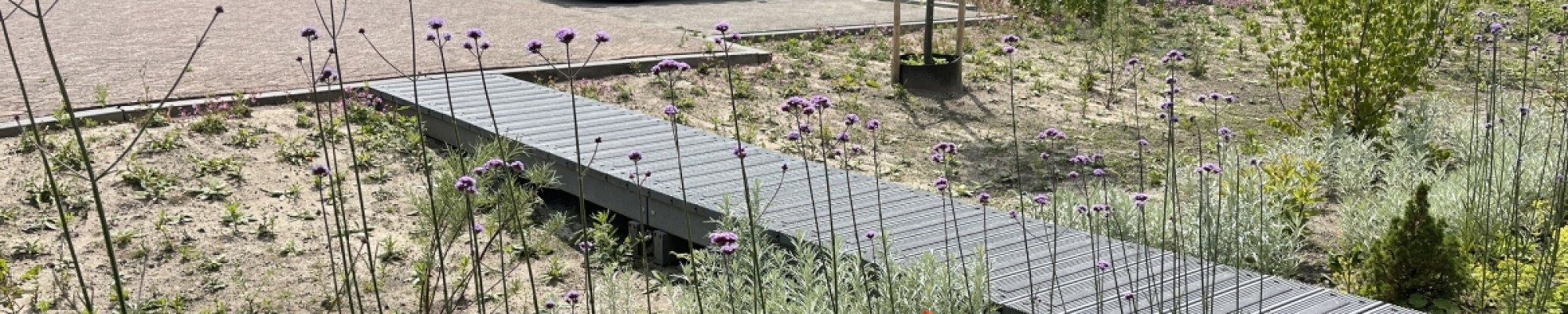 Je tuin klimaatbestendig