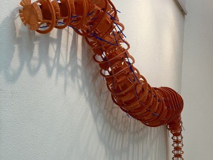 Carolien Adriaansche Worm 7