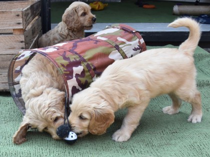 Doris had pups!