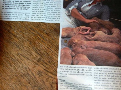 In de media