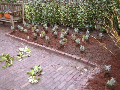 Laarderweg te Eemnes