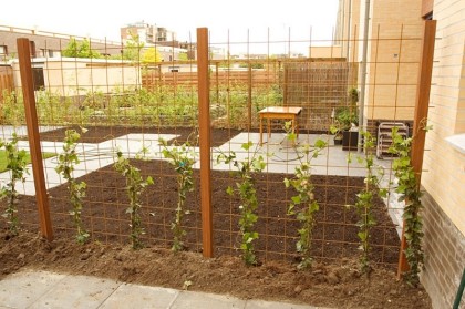 Drukkerijlaan te Delft