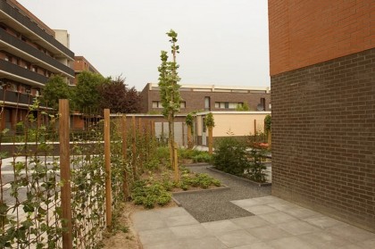 Drukkerijlaan te Delft