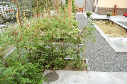 Drukkerijlaan te Delft