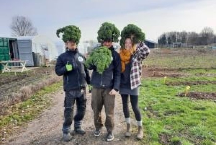 3 volwassenen die diverse plantjes vasthouden.