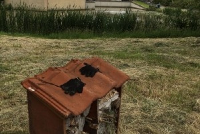 Natuur dicht bij huis. Foto: Wil Schonewille