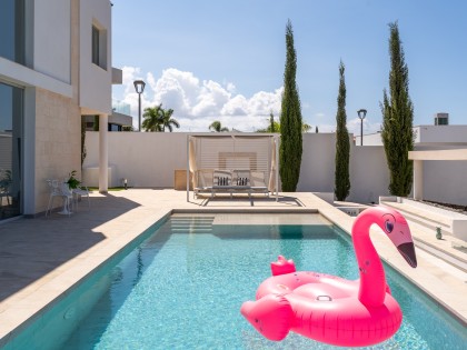 pool con flamingo
