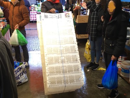 Carolien Adriaansche Transport new crates at the Hague Market.