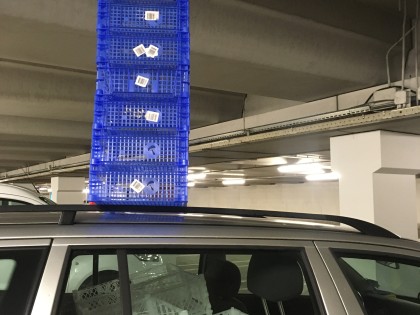 Carolien Adriaansche Transport new crates at the Hague Market.