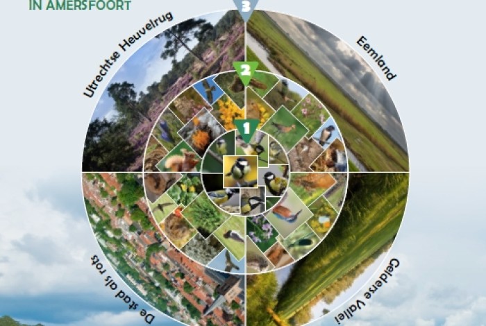 Afbeelding drie niveaus biodiversiteit