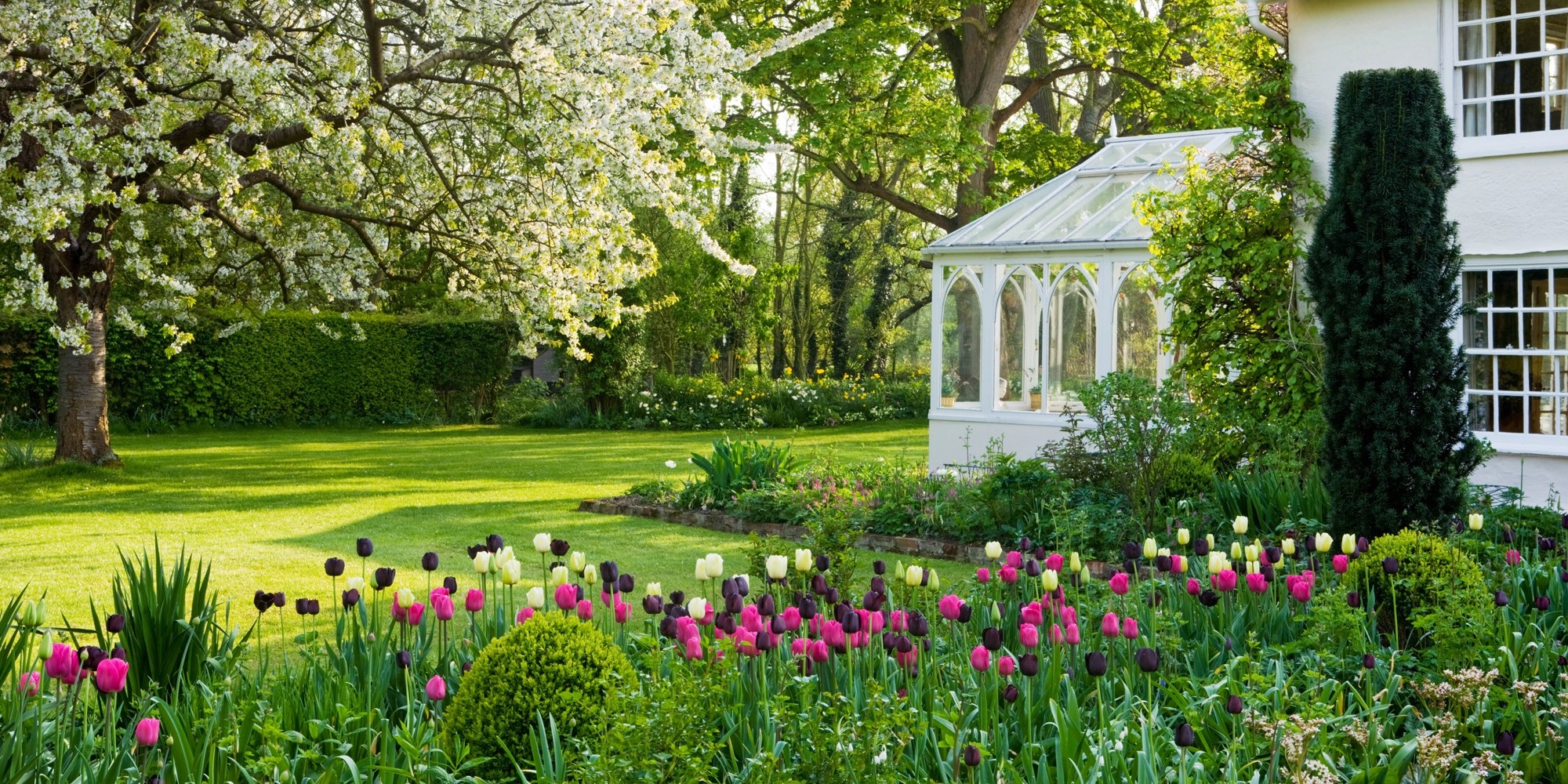 Een tuin in de lente met gazon, tulpen en bloeiende boom