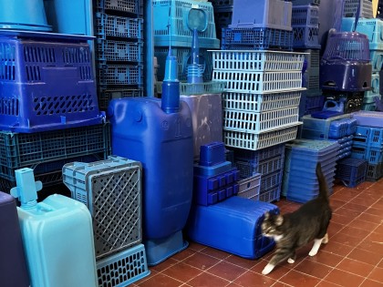 Opbouw van De Blauwe Stad in de hal op de Prinsegracht