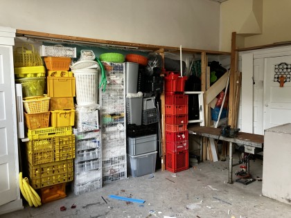 Renovation studio 2024