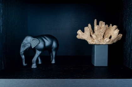 Woonaccessoire-koraal