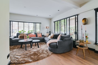 Woonkamer-organische-vormen