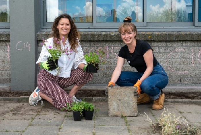 haal je tegels eruit en zet plantjes erin