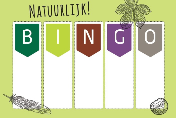 Afbeelding van een bingokaart.
