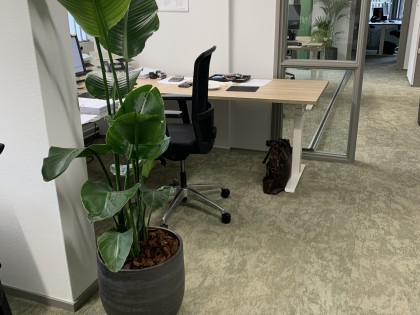 Groepsaccommodatie Veluwe
