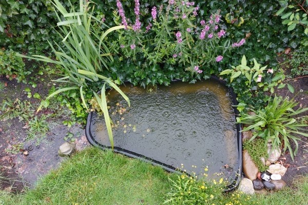 Gecombineerde vijver en wadi aan de Lorentzstraat