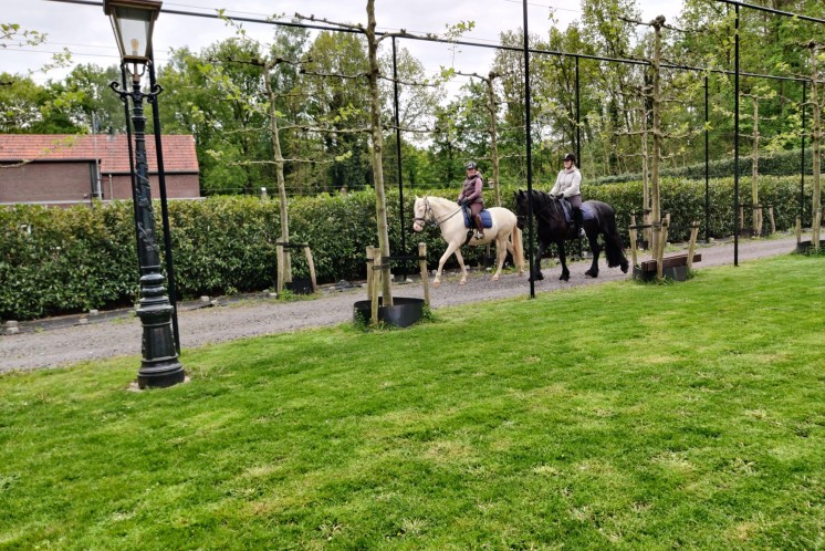 Ponykamp voor volwassenen: Horse-Style