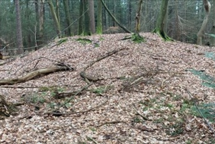 Grafheuveltocht