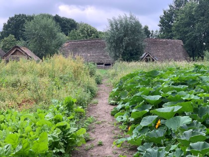 Akker boerderij op Landgoed Schothorst.