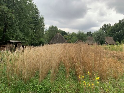 Akker boerderij op Landgoed Schothorst.