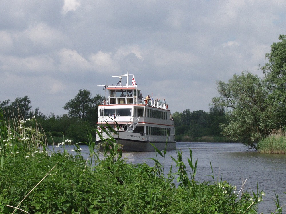 Dagtocht: de Biesbosch met Rondvaart
