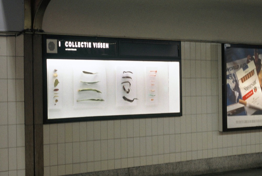 Collections Rotterdam Central