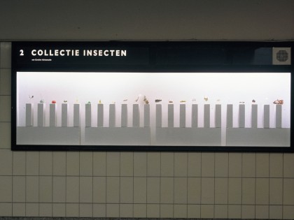 Collectie Insecten - Rotterdam Centraal Station
