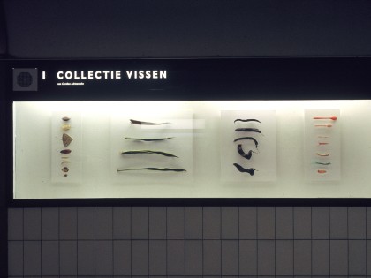 000011Collectie Vissen - Rotterdam Centraal Station