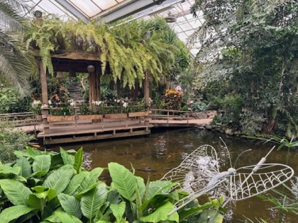 Pantropica Vlinders Dagtocht
