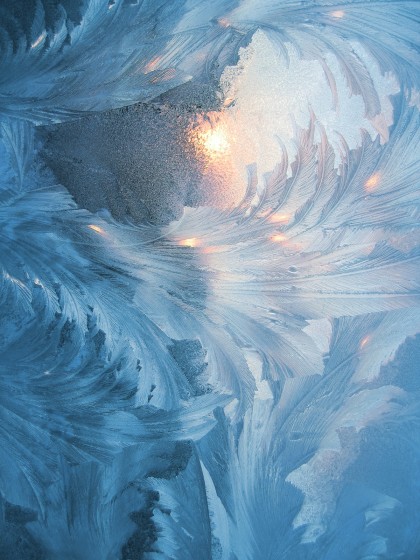 iStock-492541282