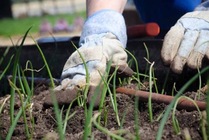 werken in de tuin