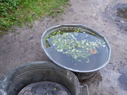 JanitaSassen-Voila-7725