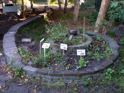 JanitaSassen-Voila-7742