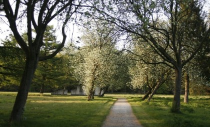 Kamp Westerbork-Drenthe