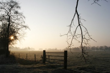 Licht-2-tak-weiland-hek