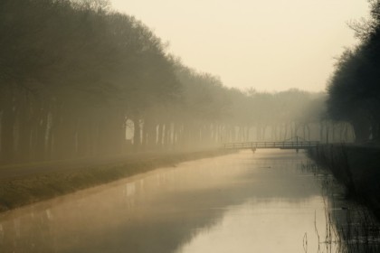 Licht-3-dauw-bomen-beek