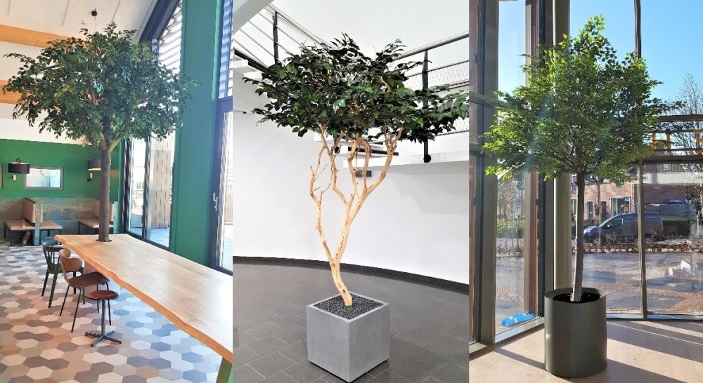 Planten