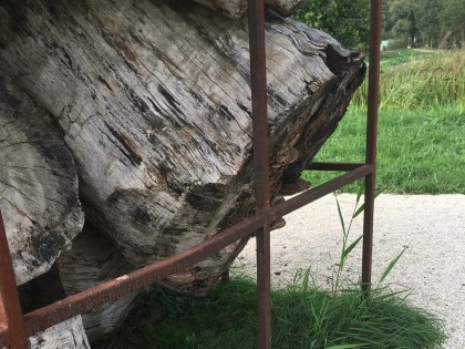 Hortus Oculus_2