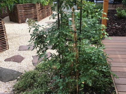 Stadstuin_Amsterdam-zuid_beplanting