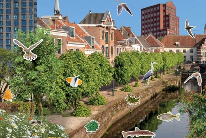 compilatie van Amersfoortse soorten in de stad
