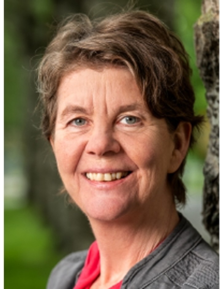 Prof. dr. Inge Huitinga
