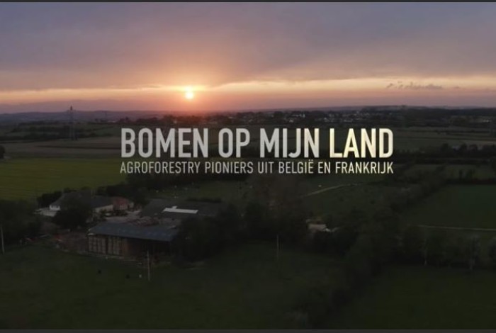 Filmvertoning